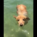 小さなあんよで一生…