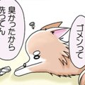 かわうそちわわ。（4…