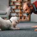 愛犬が「ん～」と鳴…