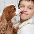 犬との『キス』が危…