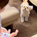 初めて『人間の赤ち…