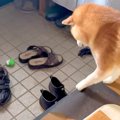 『布を引っ張れば、…