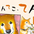 てんてこ、てん。【…