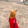 船で帰省する息子を…