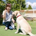 犬の問題行動が出る…