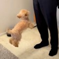 出張帰りの父が突然…