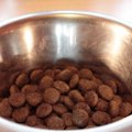栄養満点なのに消化…