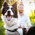 犬が人のことを大好…