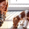 愛犬を『過保護』に…