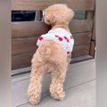 お父さんをお出迎え…