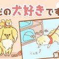  ただの犬好きです。…