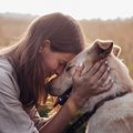犬にとって飼い主は…