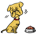 犬の急性膵炎につい…