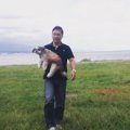 犬を抱っこすること…