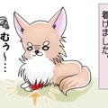 かわうそちわわ。（8…