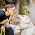 犬を初めて飼う人が…