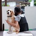 「邪魔しないでおく…