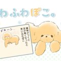 ふわふわぽこ。【第9…