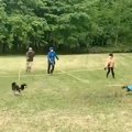 縦横無尽に駆け回る3…