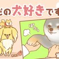 ただの犬好きです。…