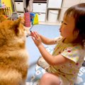 2歳の女の子が『雷を…