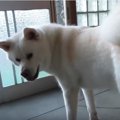【朝5時40分】朝一か…