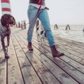 犬を愛している人に…
