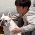小さな男の子に『犬…
