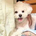 おばあちゃんが近く…
