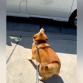 おじいちゃんおばあ…