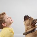 犬の飼い主が絶対に…