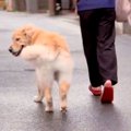 赤ちゃんを抱っこし…