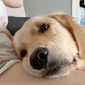 すまんかった…赤ちゃ…