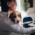 愛犬のブログを書く…