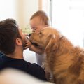 『嫉妬深い犬』にし…