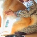 お天気の中、お母さ…