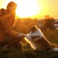 あなたの愛犬はどう…