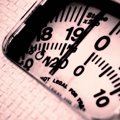 犬の100gは人の1.6㎏…