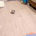 リモート会議中、ふ…