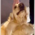大好きなおばちゃん…