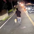 夜、道路で走る『迷…