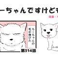 ちーちゃんですけど…