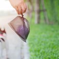 犬の飼い主が注意す…