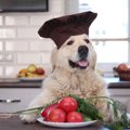 犬にNGな『夏野菜』…