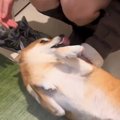 大好きなお姉ちゃん…