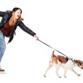 犬の引っ張り癖を直…