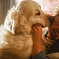 犬が『顔を舐めてく…