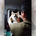 「お前いい加減にし…