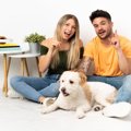 『犬を飼ってはいけ…