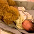 赤ちゃんが泣くと、…